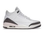 Nike Air Jordan 3 Retro Neapolitan Dark Mocha (W)